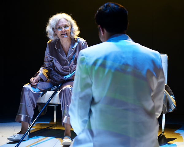 Photo Flash: First Look at MOSQUITOES at Steep Theatre Image