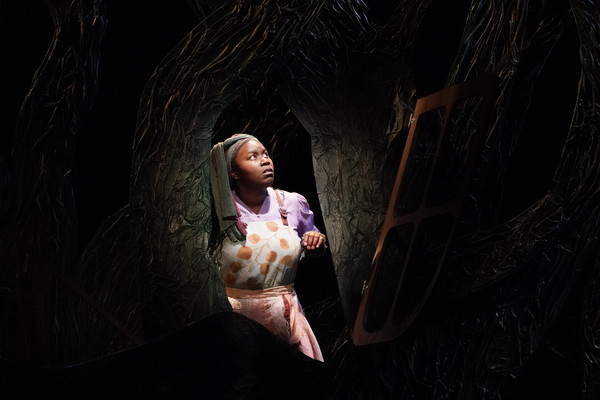 Photo Flash: Children's Theatre Company Presents SNOW WHITE Image