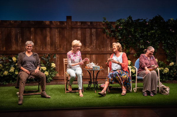 Photo Flash: First Look at Signature's ESCAPED ALONE Image