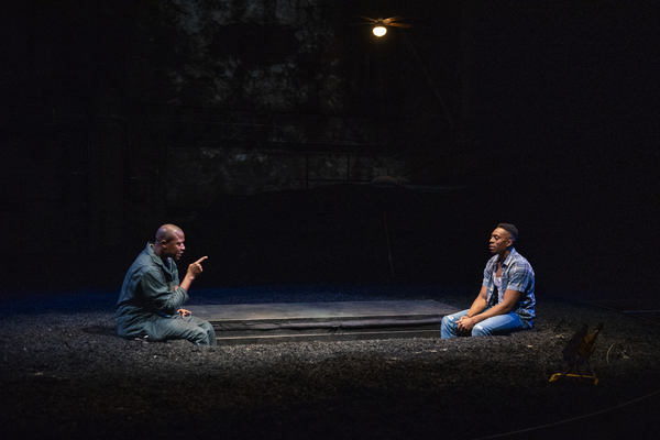 Photo Flash: First Look at Steppenwolf's THE BROTHERS SIZE Image