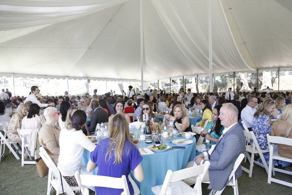 Photo Flash: Angela Bassett, Elizabeth Olsen, David Schwimmer and More Attend The Rape Foundation's Annual Brunch Image