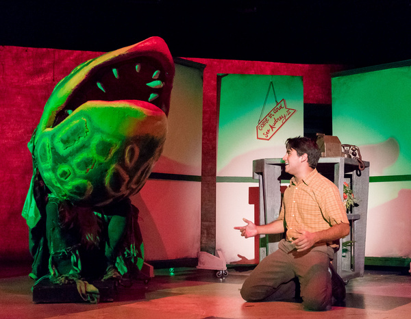 Photo Flash: First Look at TexARTS' LITTLE SHOP OF HORRORS Image