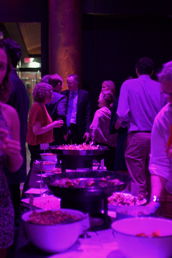 Photo Flash: Theater-Making Band The Lobbyists Announce Their New Collective At Fall Gala 