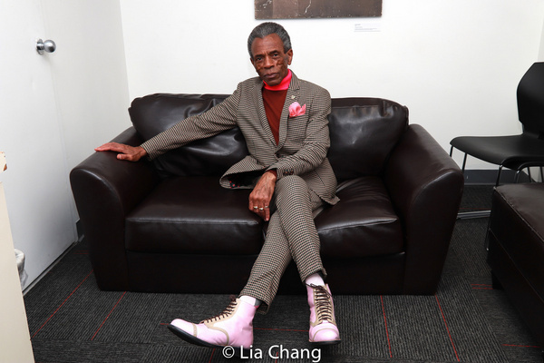 Photo Flash: HADESTOWN Star André De Shields Receives 2019 Project1Voice Lifetime Achievement Award Image