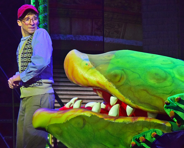Photo Flash: First Look at Beef & Boards' LITTLE SHOP OF HORRORS Image