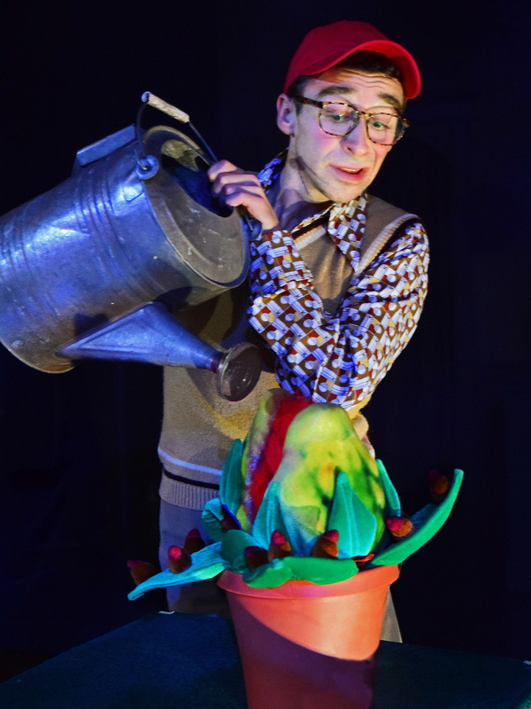Photo Flash: First Look at Beef & Boards' LITTLE SHOP OF HORRORS Image