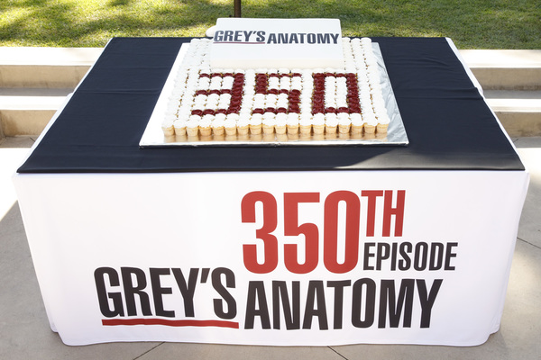 Photo Flash: ABC's GREY'S ANATOMY Celebrates 350 Episodes 