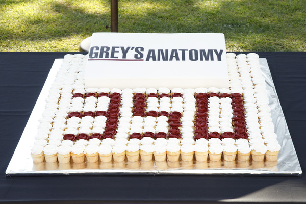 Photo Flash: ABC's GREY'S ANATOMY Celebrates 350 Episodes 