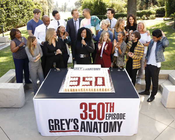 Photo Flash: ABC's GREY'S ANATOMY Celebrates 350 Episodes 