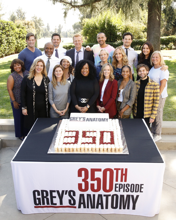 Photo Flash: ABC's GREY'S ANATOMY Celebrates 350 Episodes 