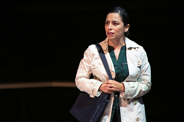 Photo Flash: Arena Stage Presents RIGHT TO BE FORGOTTEN Image