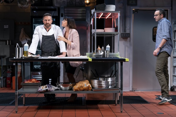 Photo Flash: First Look at Raul Esparza, Krysta Rodriguez & More in MCC's SEARED Image