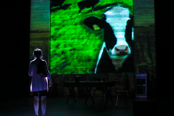 Photo Flash: PlayMakers Presents DAIRYLAND Image