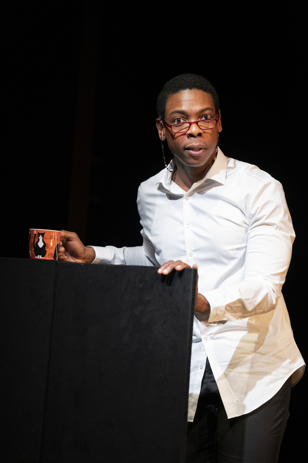 Photo Flash: First Look at Signature's FIRES IN THE MIRROR Image