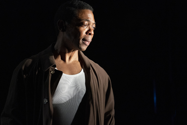 Photo Flash: First Look at Signature's FIRES IN THE MIRROR Image