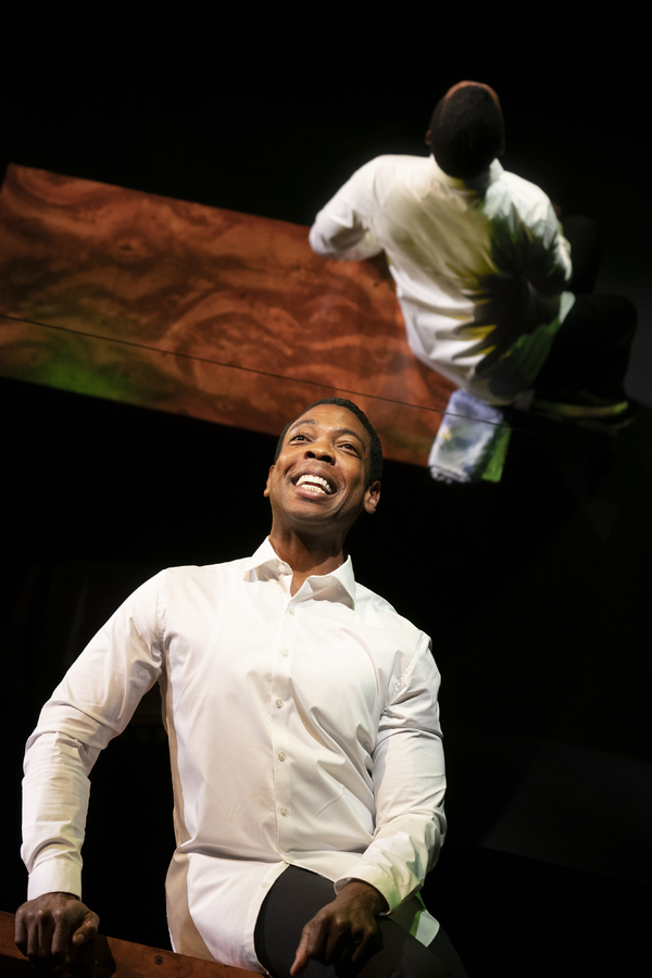 Photo Flash: First Look at Signature's FIRES IN THE MIRROR Image