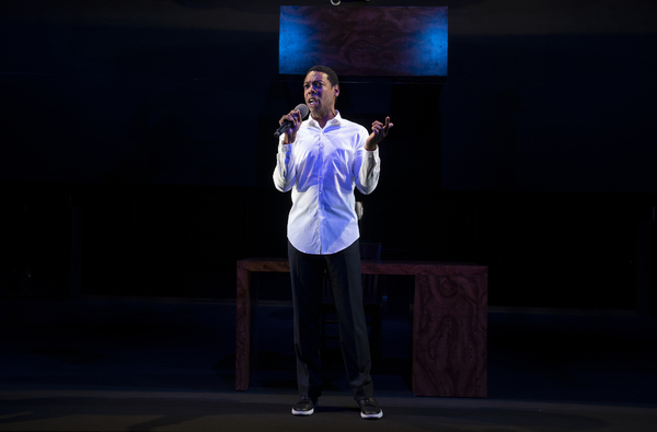 Photo Flash: First Look at Signature's FIRES IN THE MIRROR Image