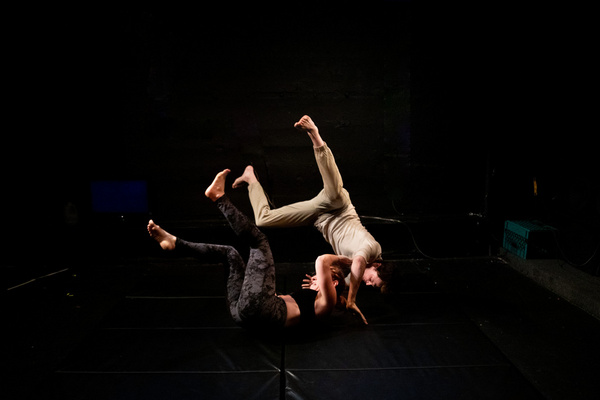 Photo Flash: First Look at THE REGIME IS FEMALE At The Tank Image