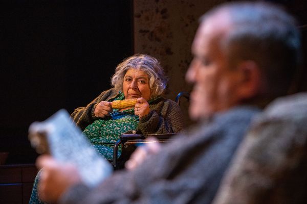 Photo Flash: First Look at SYDNEY AND THE OLD GIRL at Park Theatre Image