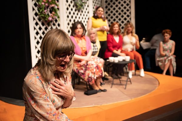Photo Coverage: First look at Original Productions Theatre's STEAM BATH BLUES Image