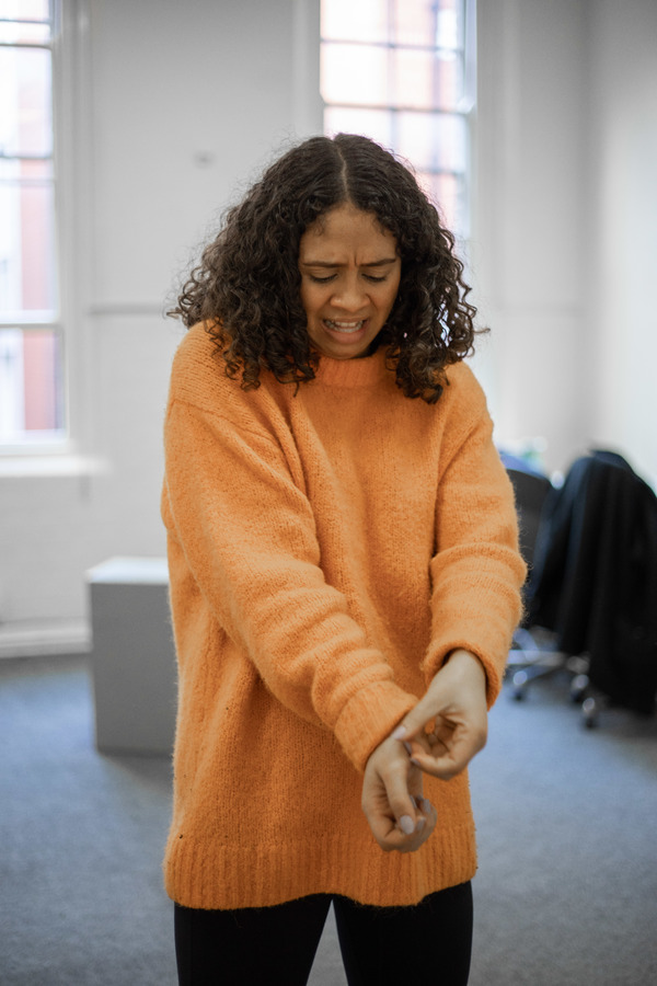 Photo Flash: Inside Rehearsal For BEFORE I WAS A BEAR at The Bunker Image