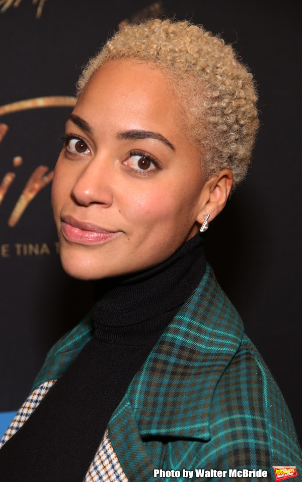 Photo Coverage: The Stars Arrive on the Opening Night Red Carpet For TINA - THE TINA TURNER MUSICAL Image