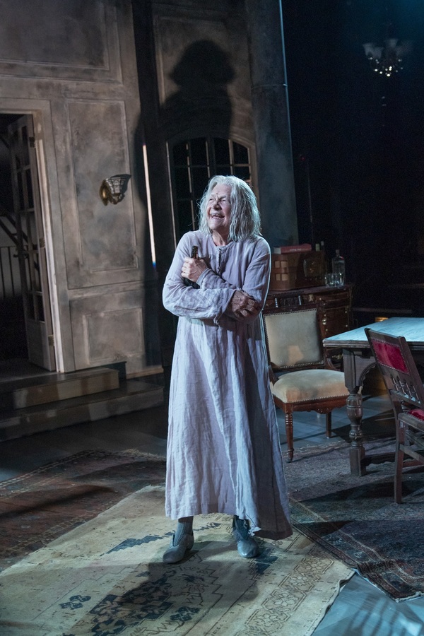 Photo Flash: Get a First Look at A BRIGHT ROOM CALLED DAY at The Public Image