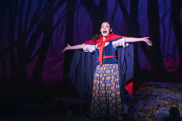 Photo Flash: First Look at INTO THE WOODS at Broadway By the Bay Image