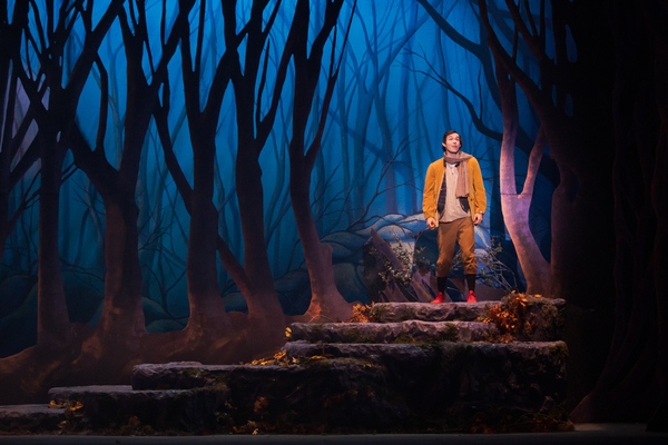 Photo Flash: First Look at INTO THE WOODS at Broadway By the Bay Image