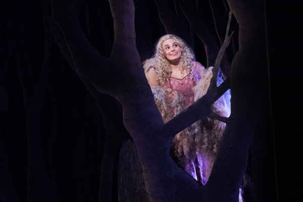 Photo Flash: First Look at INTO THE WOODS at Broadway By the Bay Image