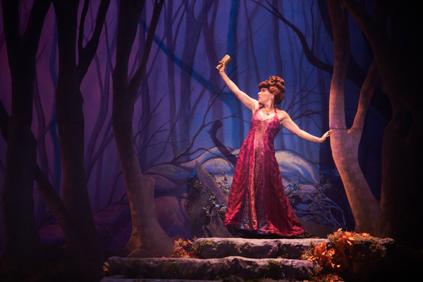 Photo Flash: First Look at INTO THE WOODS at Broadway By the Bay Image