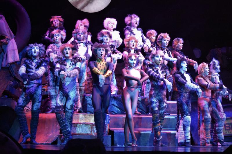 Photo Coverage: CATS Opens Four-Week Limited Engagement in Manila, Now Thru 1 Dec. Image