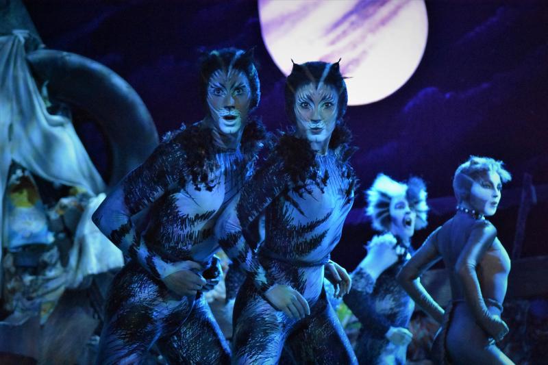 Photo Coverage: CATS Opens Four-Week Limited Engagement in Manila, Now Thru 1 Dec. Image