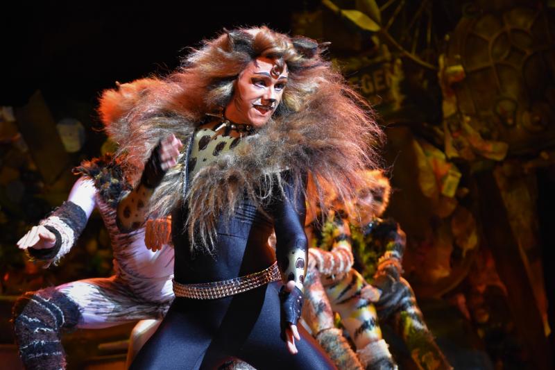 Photo Coverage: CATS Opens Four-Week Limited Engagement in Manila, Now Thru 1 Dec. Image