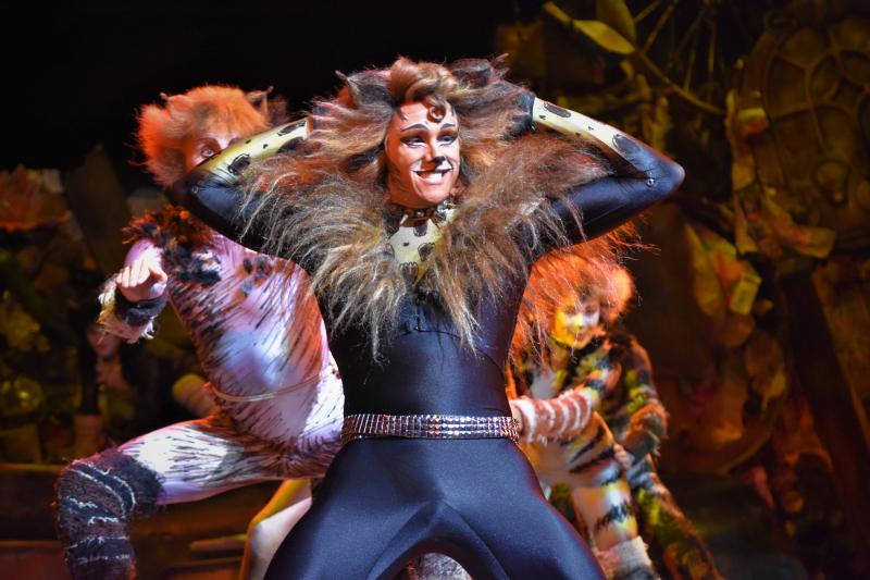 Photo Coverage: CATS Opens Four-Week Limited Engagement in Manila, Now Thru 1 Dec. Image