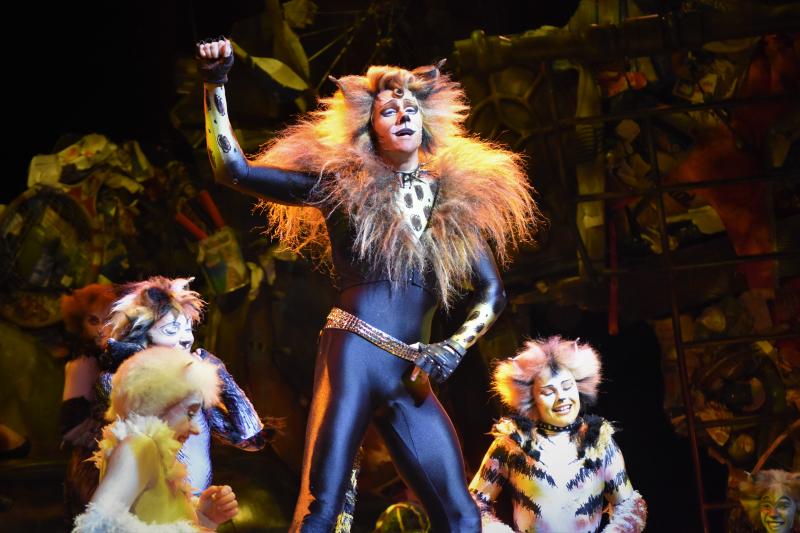 Photo Coverage: CATS Opens Four-Week Limited Engagement in Manila, Now Thru 1 Dec. Image