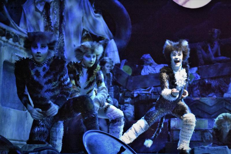 Photo Coverage: CATS Opens Four-Week Limited Engagement in Manila, Now Thru 1 Dec. Image
