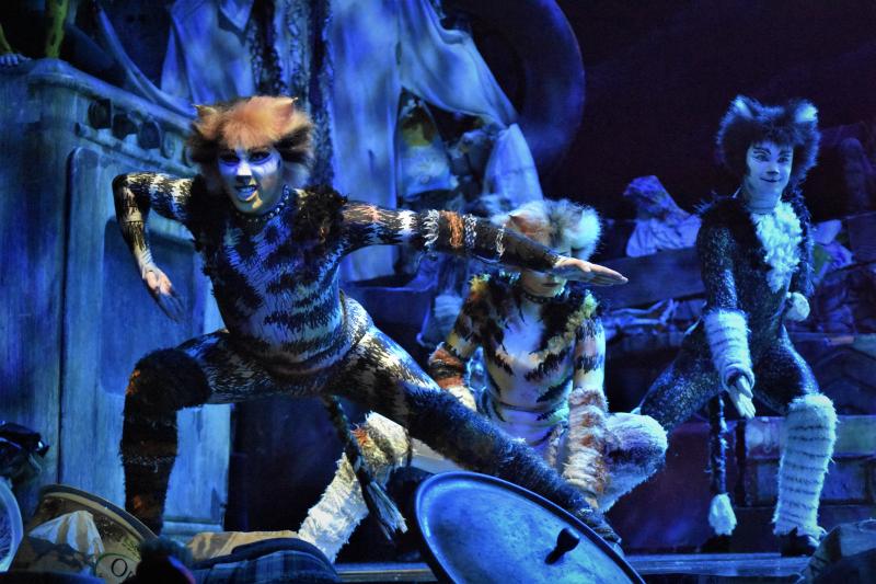 Photo Coverage: CATS Opens Four-Week Limited Engagement in Manila, Now Thru 1 Dec. Image