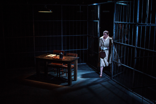 Photo Flash: Luna Stage Presents MRS. STERN WANDERS THE PRUSSIAN STATE LIBRARY Image