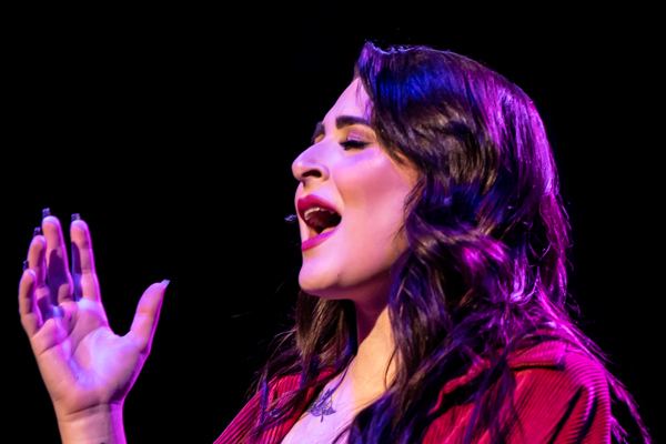 Photo Coverage: First Look at Worthington Community Theatre's NEXT TO NORMAL Image