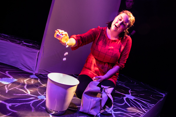 Photo Coverage: First Look at Worthington Community Theatre's NEXT TO NORMAL Image