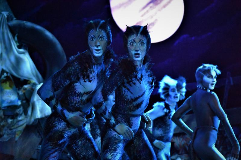 Review: CATS, A Litter Ground of Spectacle, Mystery, Fun and Nostalgia Image