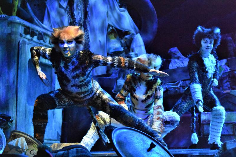 Review: CATS, A Litter Ground of Spectacle, Mystery, Fun and Nostalgia  Image