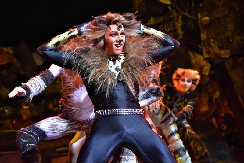 Review: CATS, A Litter Ground of Spectacle, Mystery, Fun and Nostalgia Image