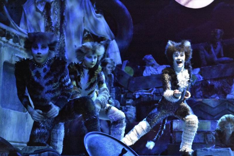VIDEO: Take a Backstage Tour at CATS! Image