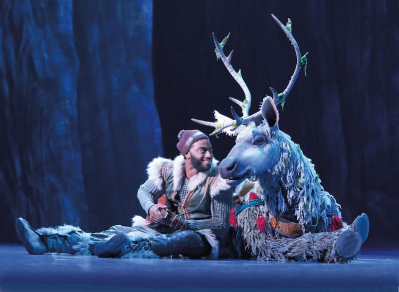 Review: FROZEN at Proctors Wraps the Capital Region in a Big Warm Hug.  Image