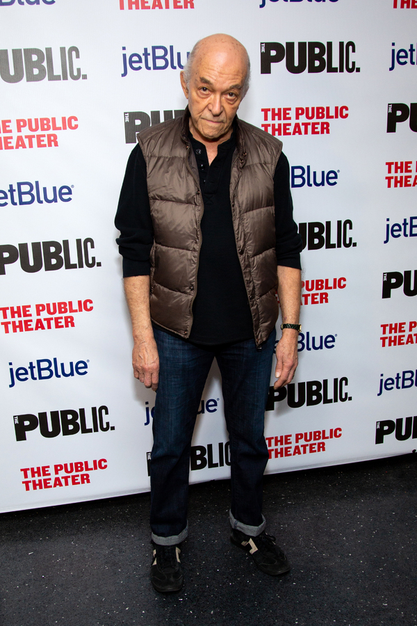 Photo Coverage: Public Theater Celebrates Opening Night of A BRIGHT ROOM CALLED DAY Image