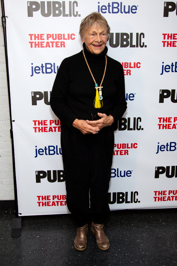 Photo Coverage: Public Theater Celebrates Opening Night of A BRIGHT ROOM CALLED DAY Image