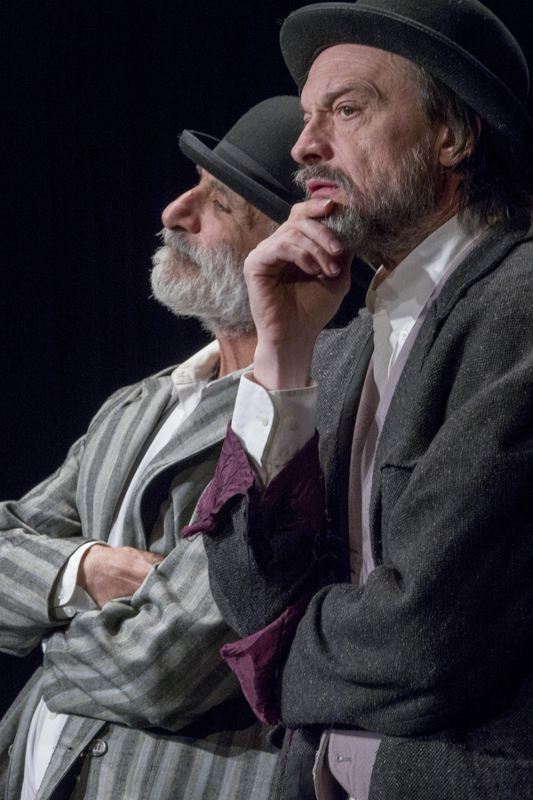 Photo Flash: First Look At WAITING FOR GODOT At Victory Gardens Image