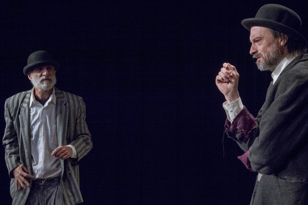 Photo Flash: First Look At WAITING FOR GODOT At Victory Gardens Image